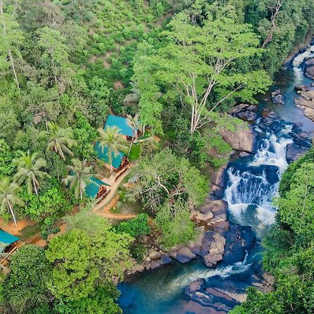 The Rainforest Hideaway Deniyaya Buitenkant foto