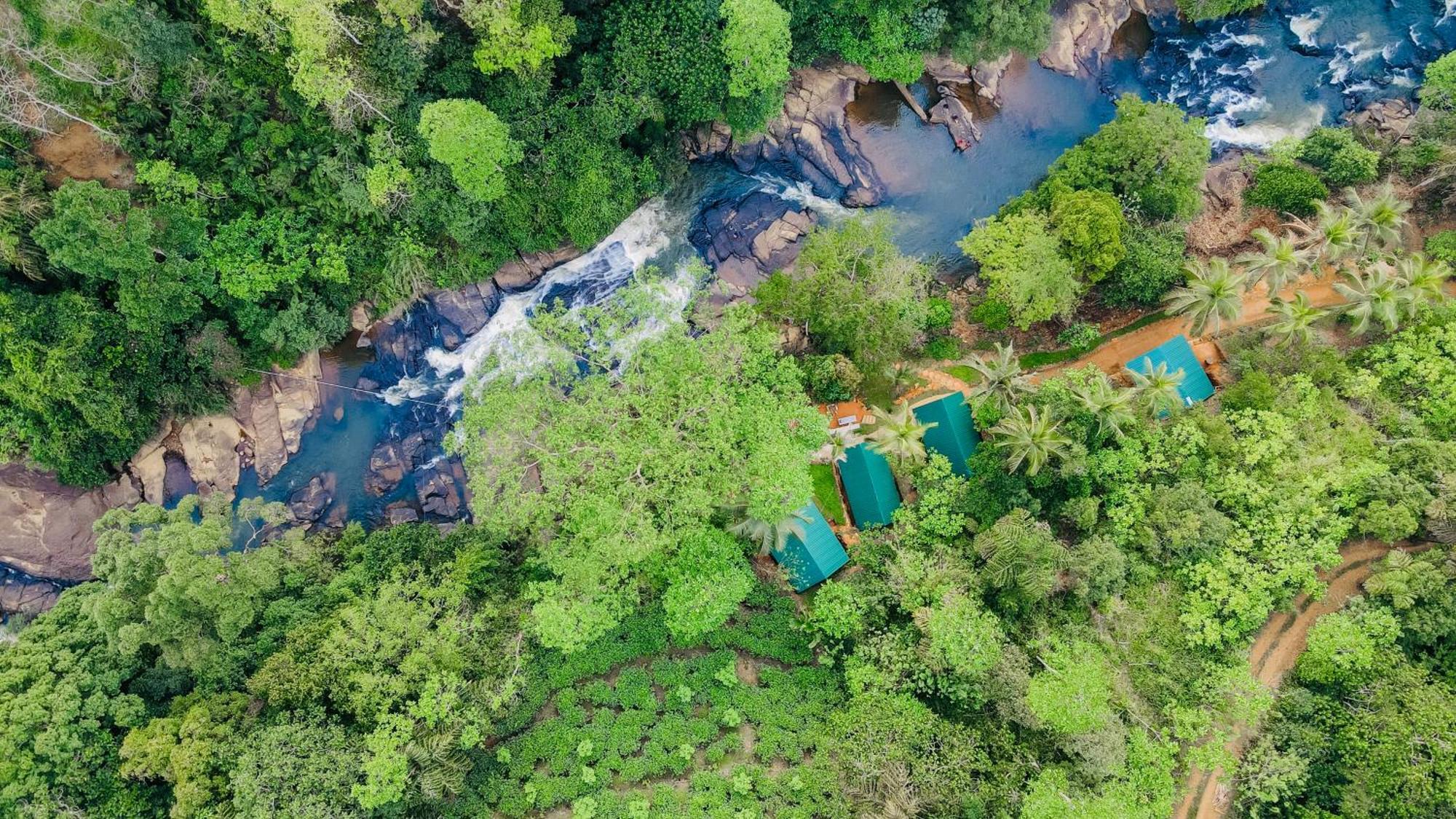 The Rainforest Hideaway Deniyaya Buitenkant foto