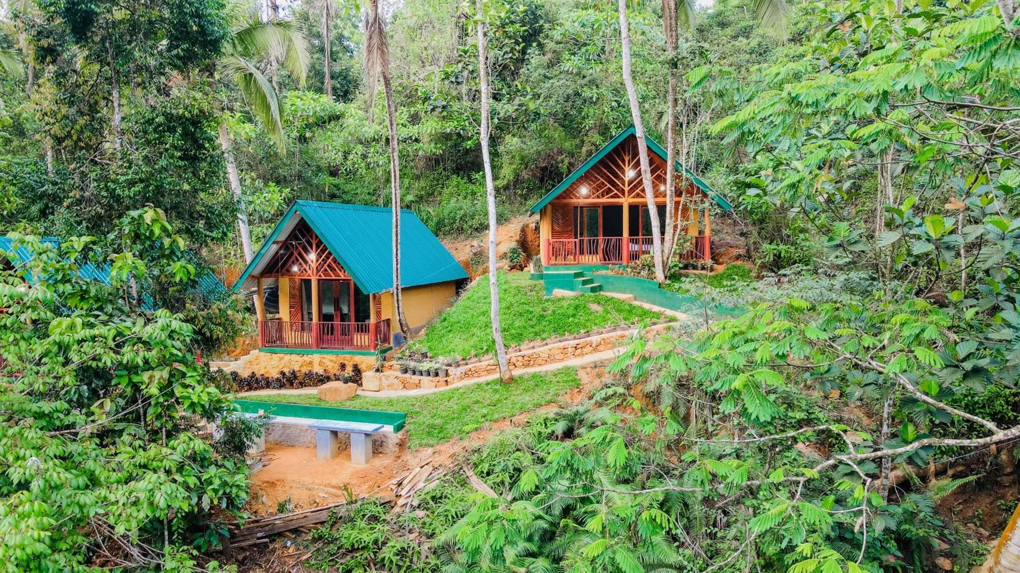 The Rainforest Hideaway Deniyaya Buitenkant foto
