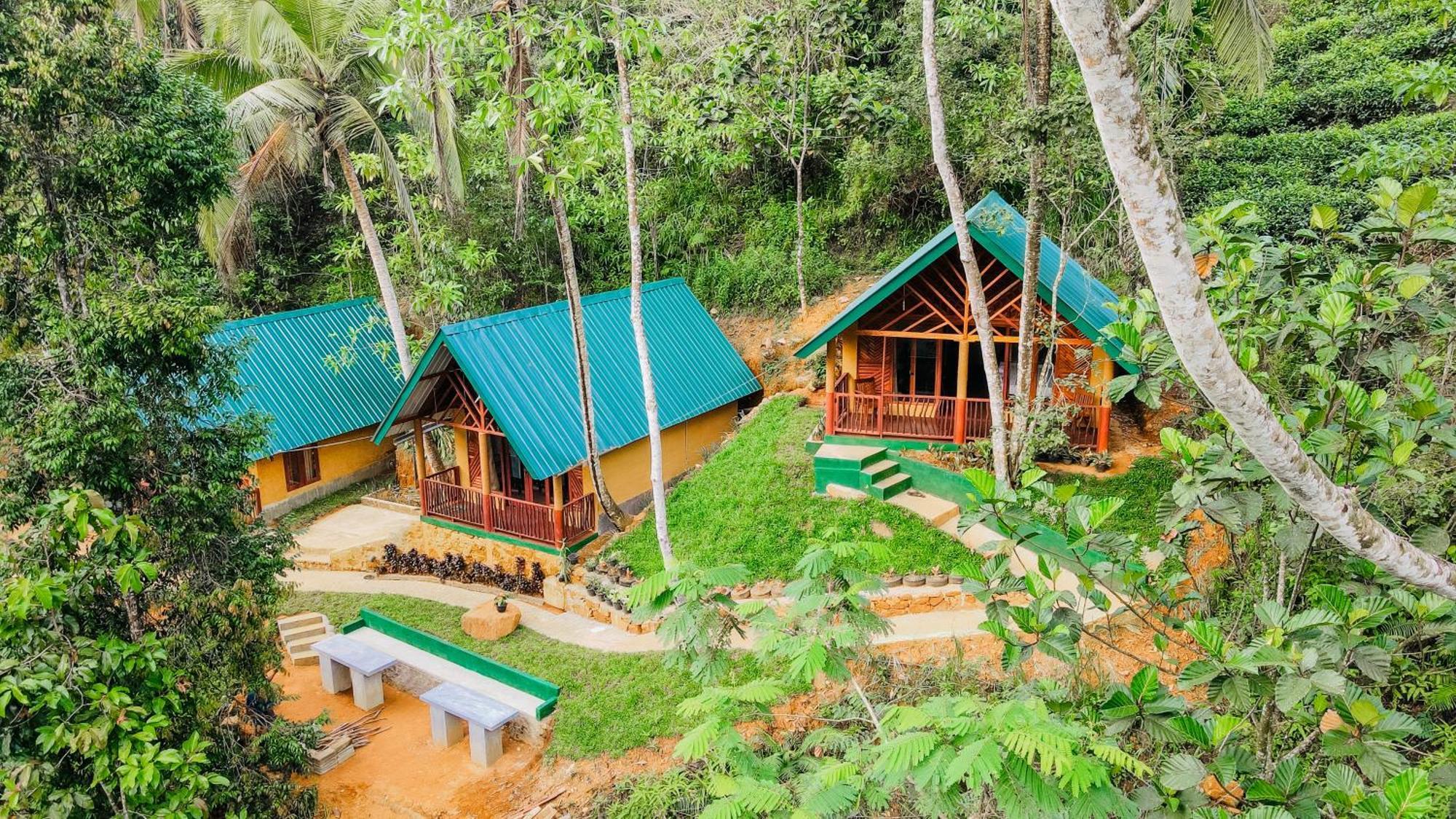 The Rainforest Hideaway Deniyaya Buitenkant foto