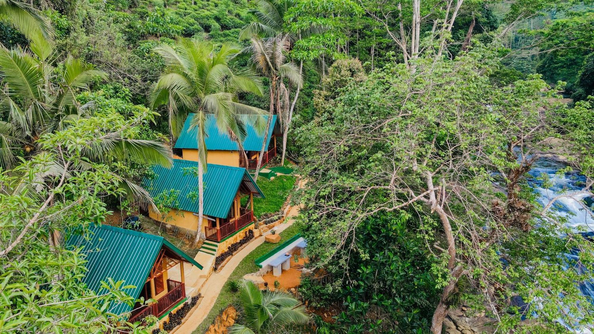 The Rainforest Hideaway Deniyaya Buitenkant foto