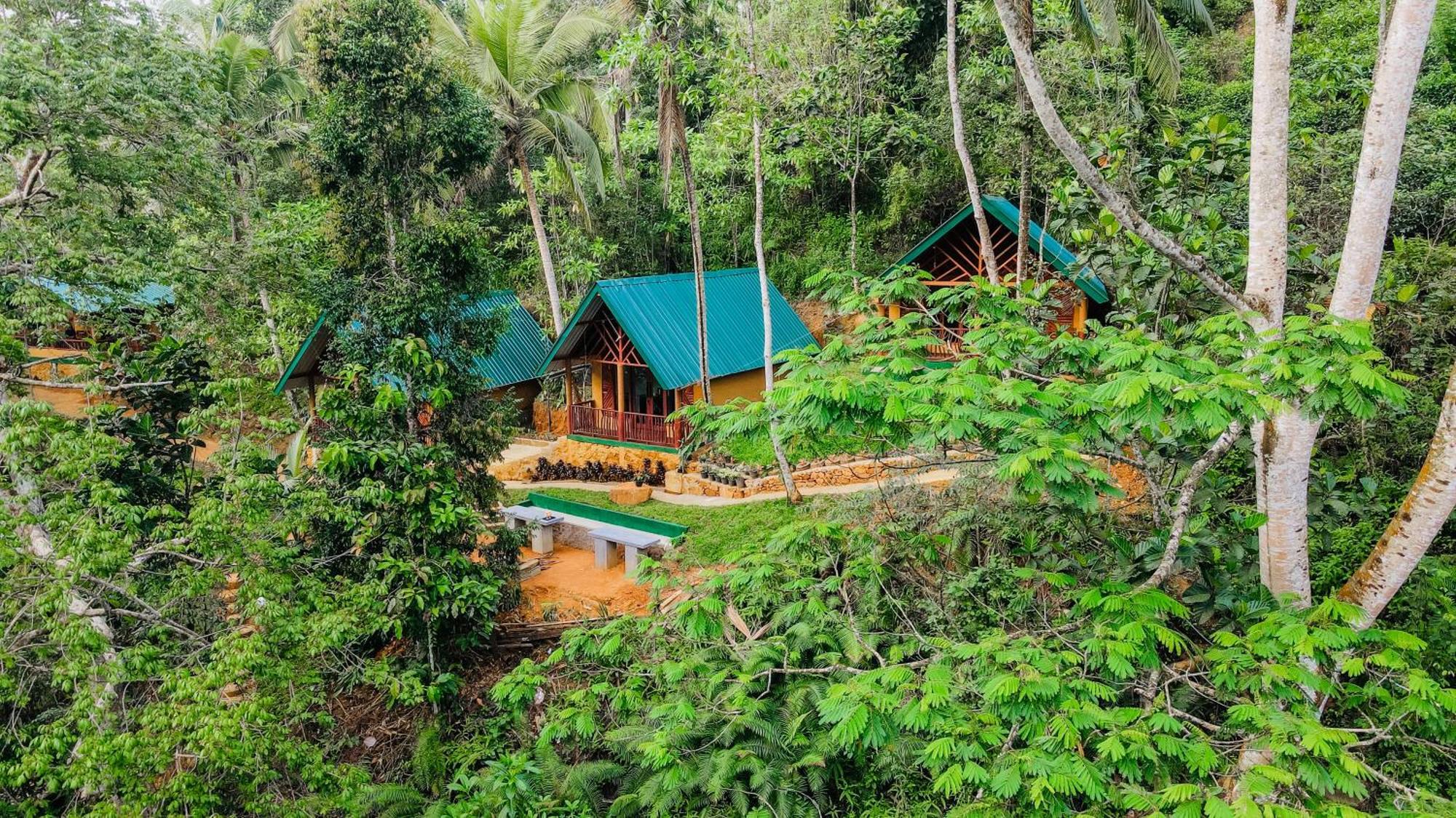 The Rainforest Hideaway Deniyaya Buitenkant foto