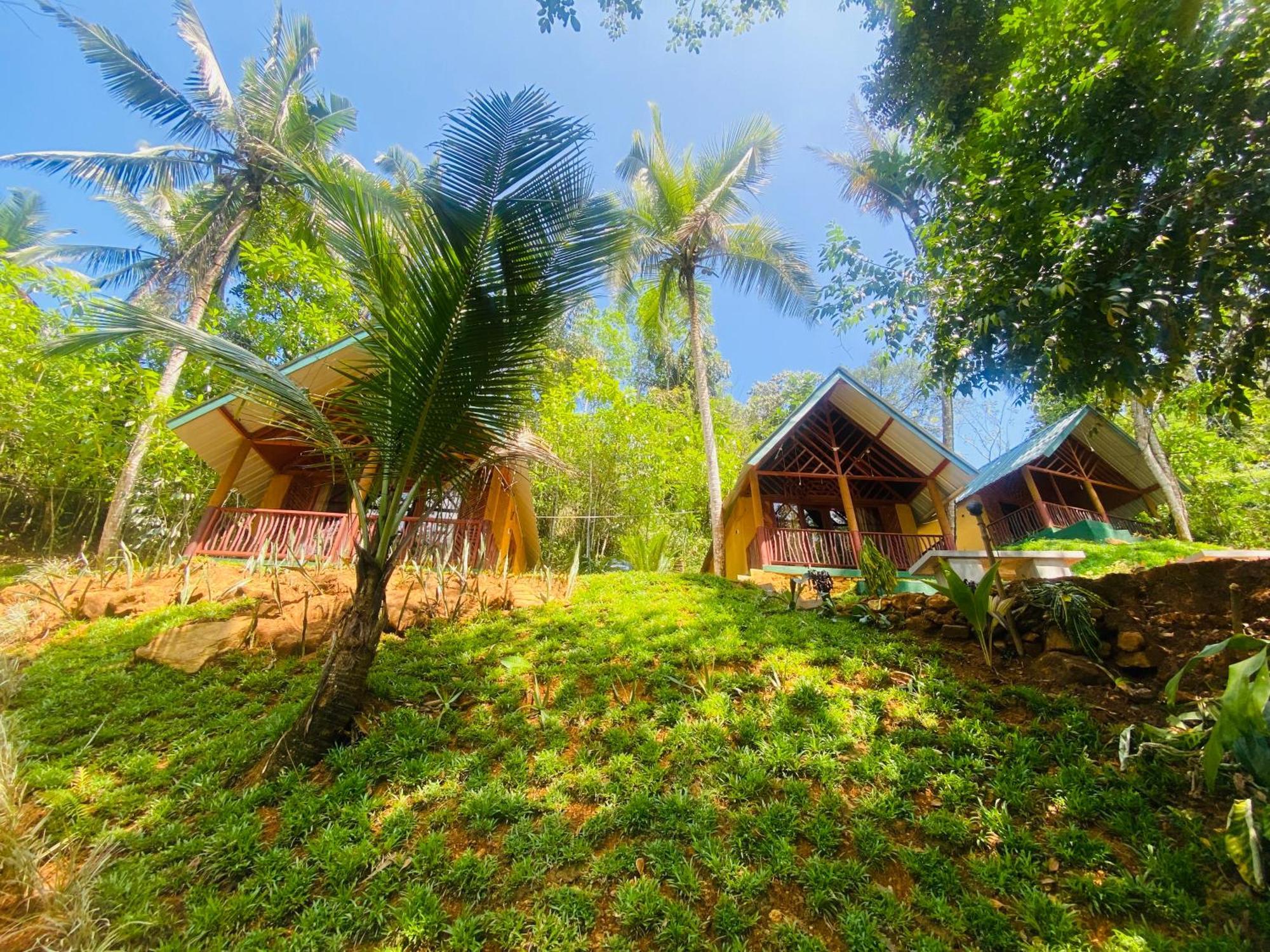 The Rainforest Hideaway Deniyaya Buitenkant foto