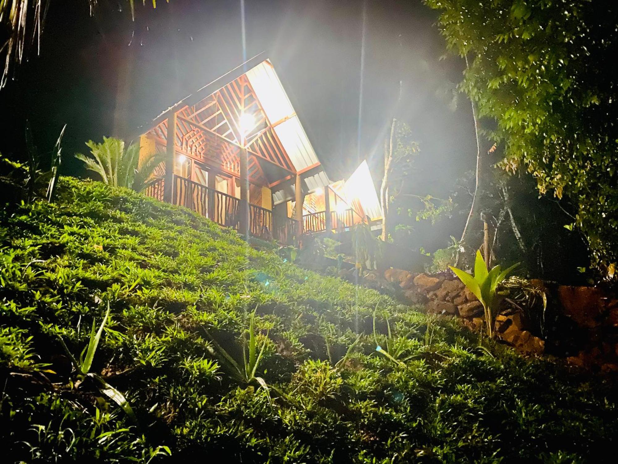 The Rainforest Hideaway Deniyaya Buitenkant foto