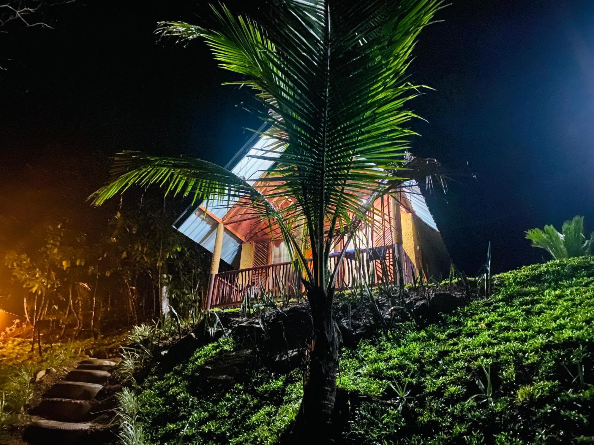 The Rainforest Hideaway Deniyaya Buitenkant foto