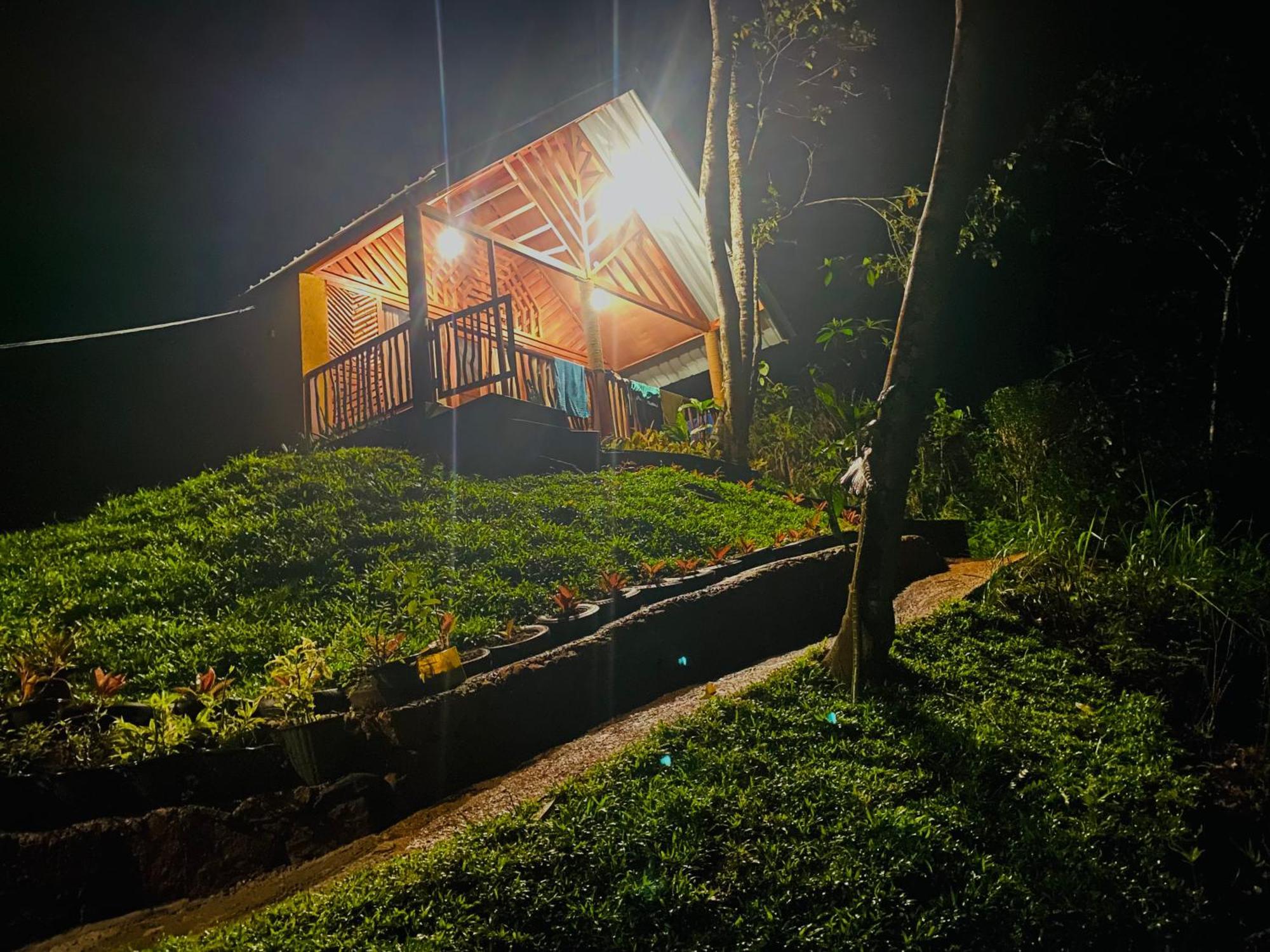 The Rainforest Hideaway Deniyaya Buitenkant foto