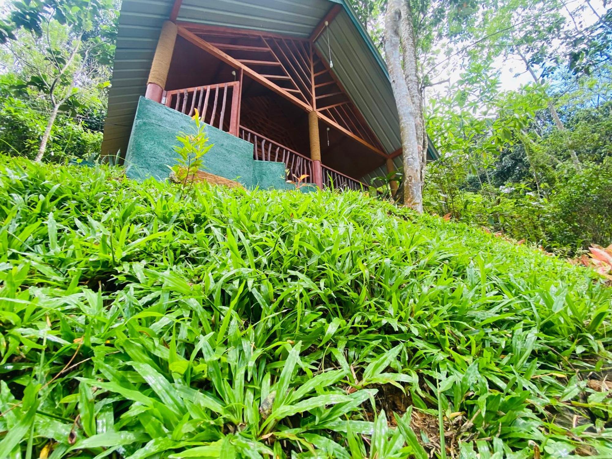 The Rainforest Hideaway Deniyaya Buitenkant foto