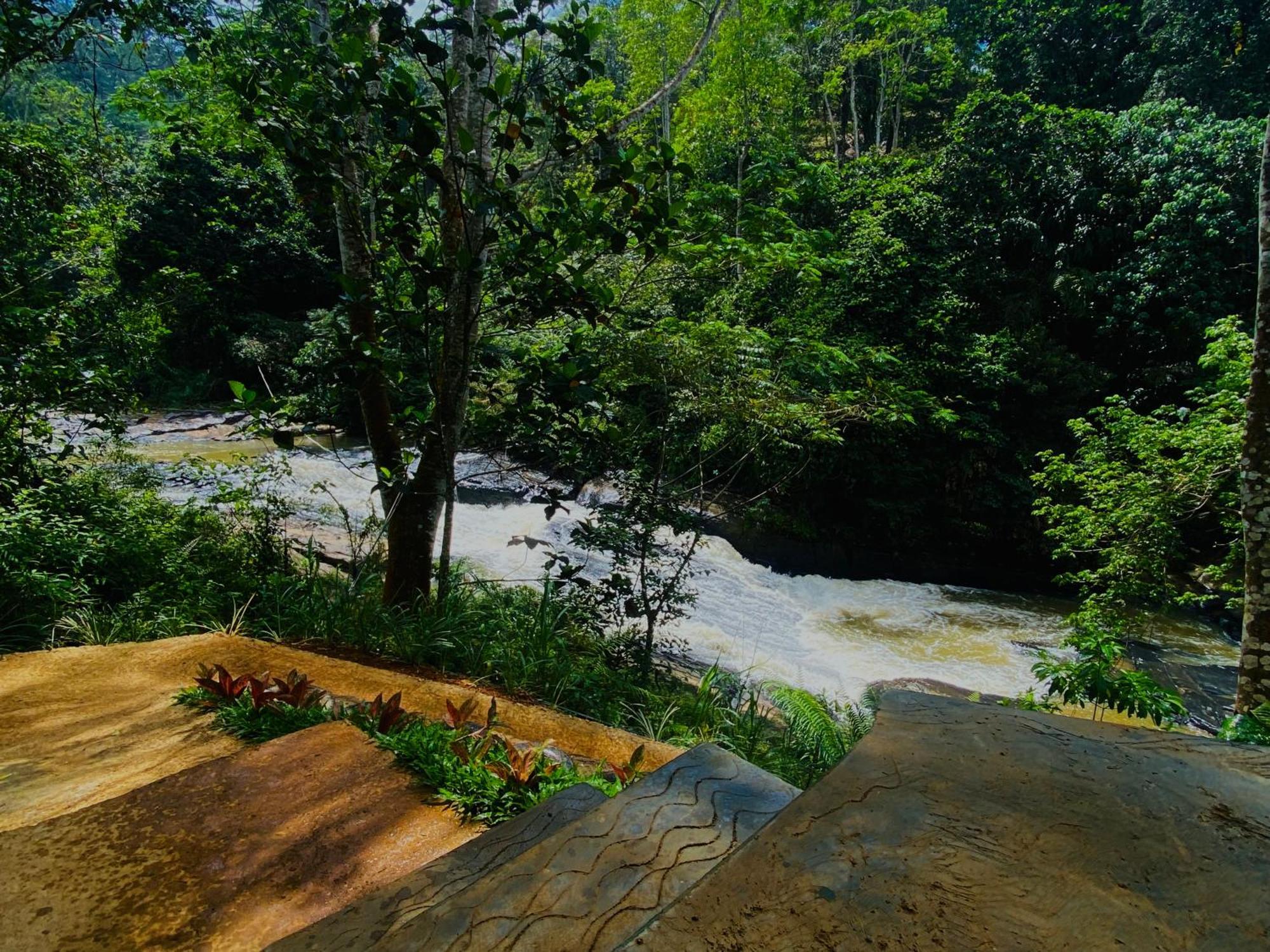 The Rainforest Hideaway Deniyaya Buitenkant foto