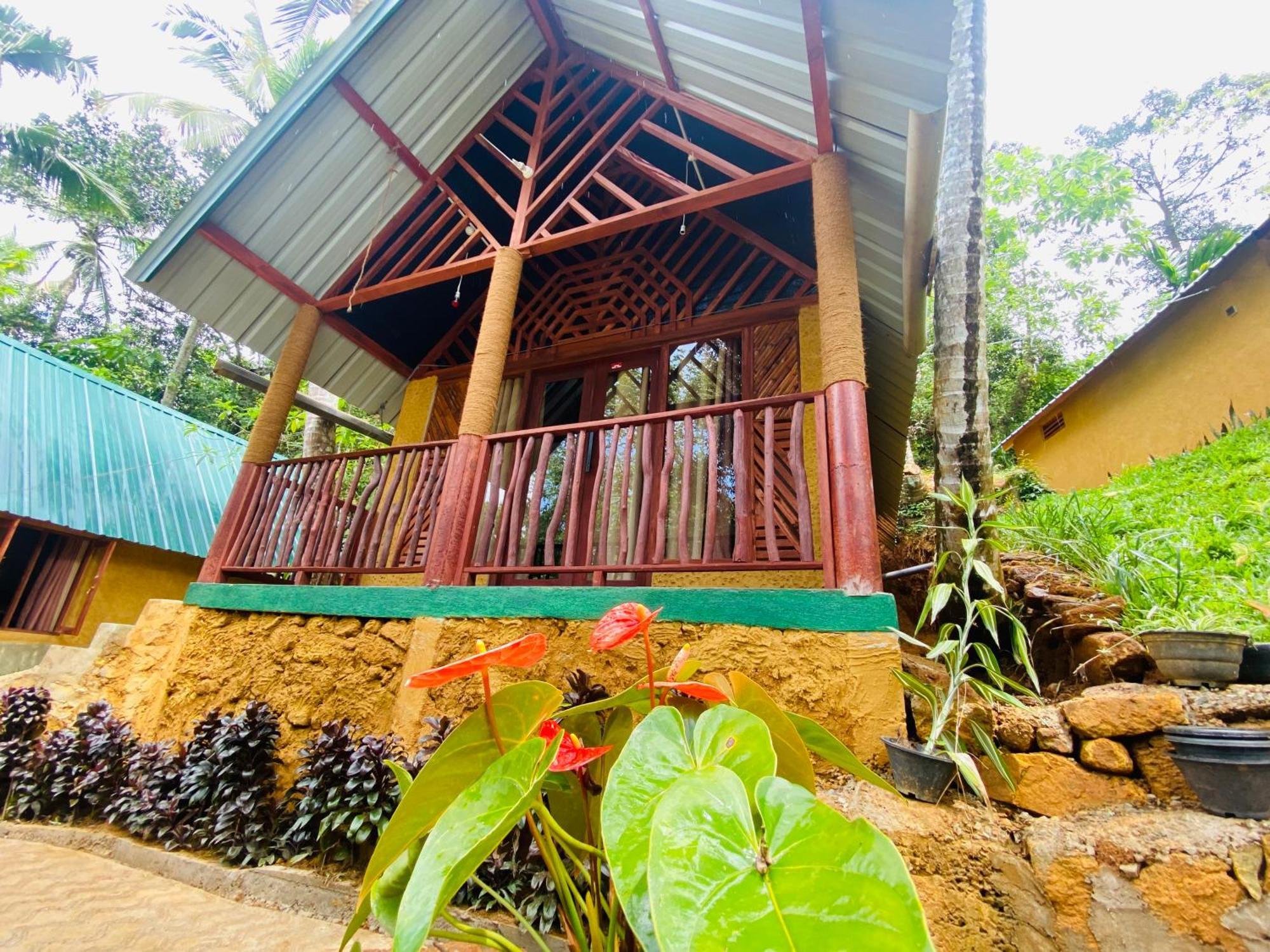 The Rainforest Hideaway Deniyaya Buitenkant foto