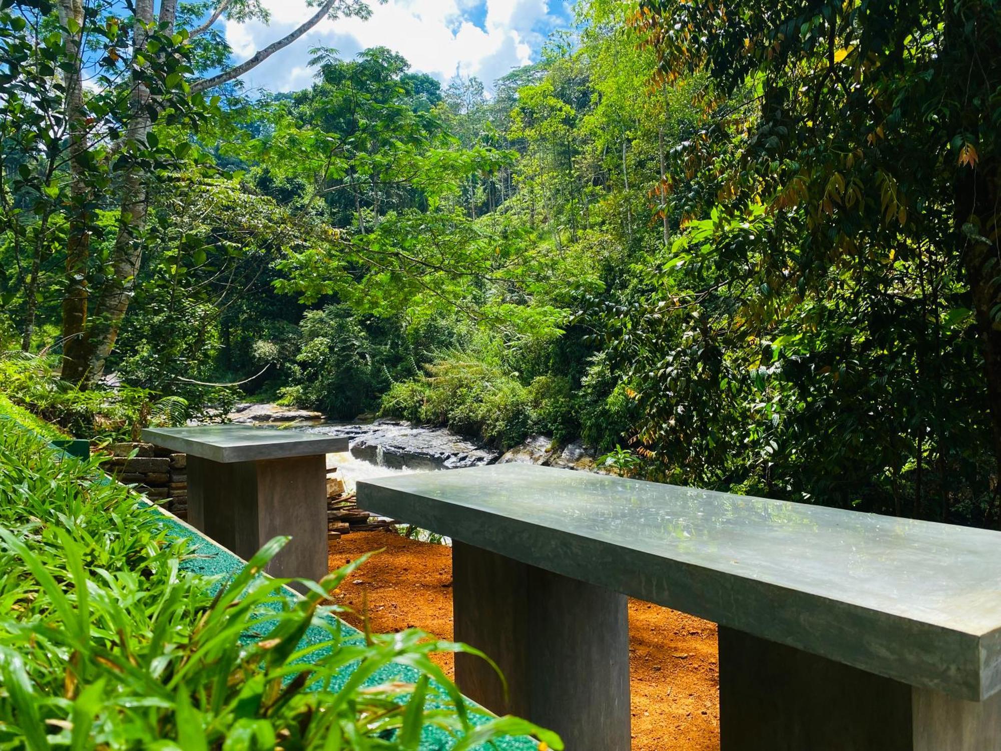 The Rainforest Hideaway Deniyaya Buitenkant foto