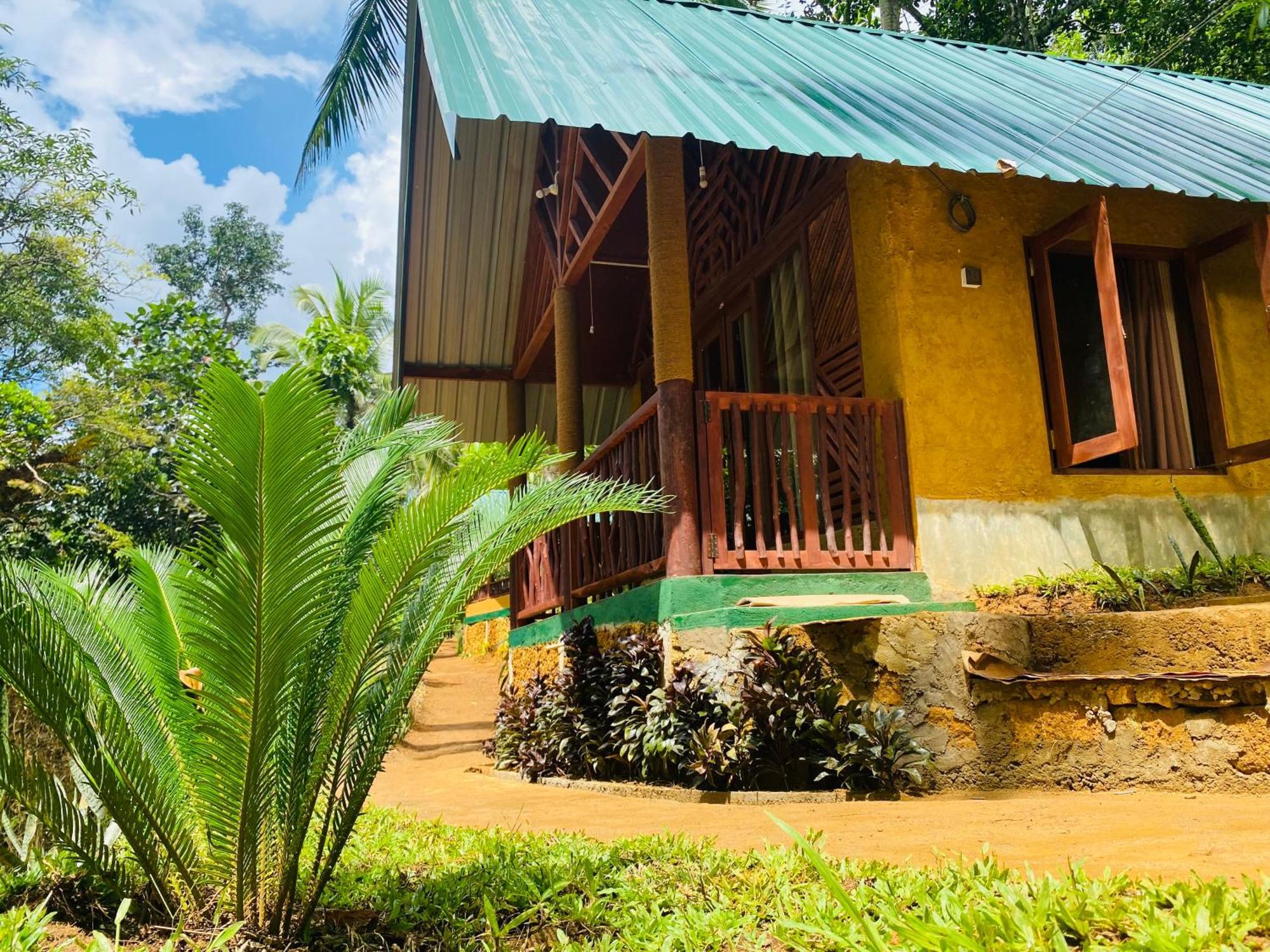 The Rainforest Hideaway Deniyaya Buitenkant foto