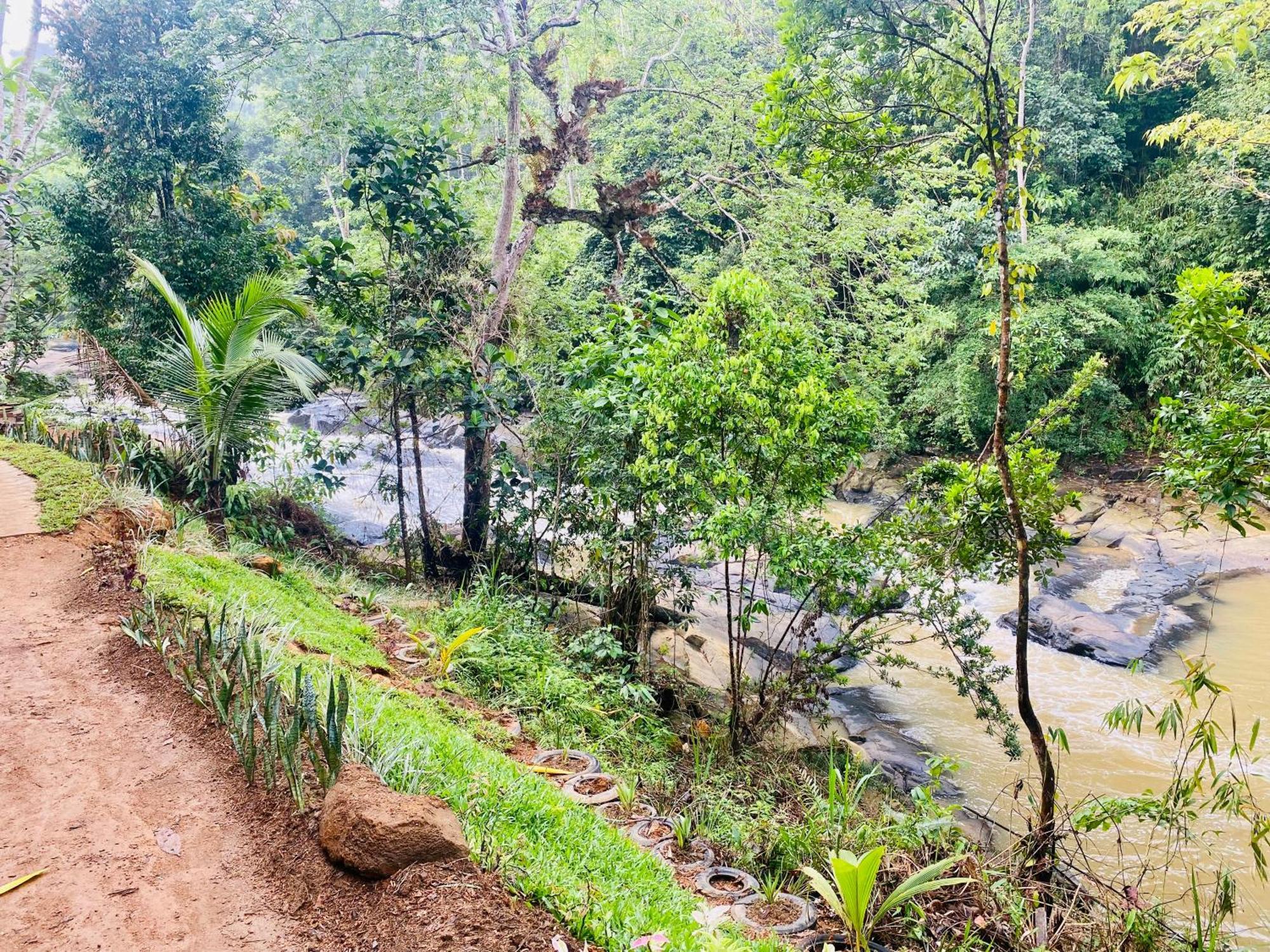 The Rainforest Hideaway Deniyaya Buitenkant foto