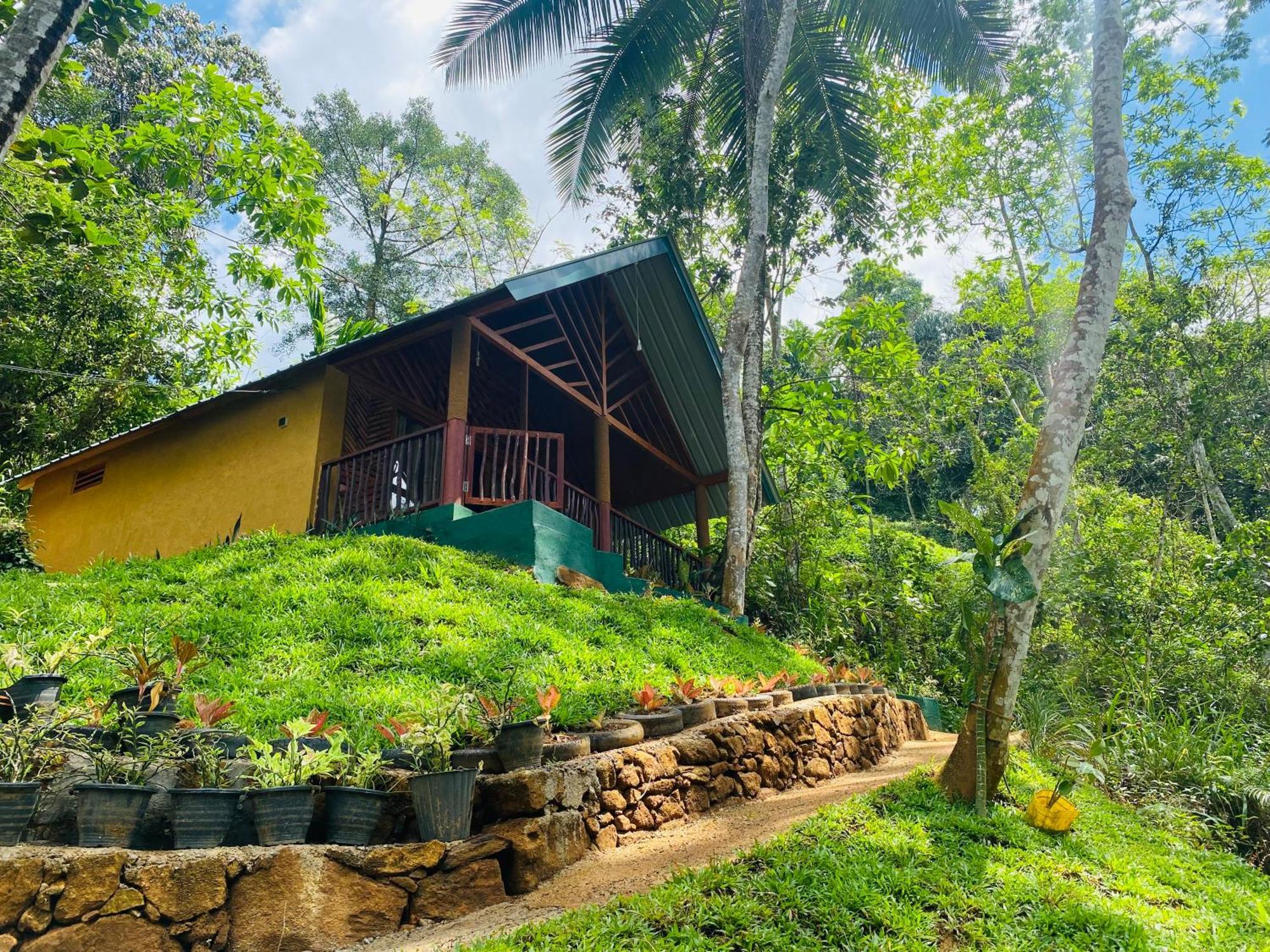 The Rainforest Hideaway Deniyaya Buitenkant foto